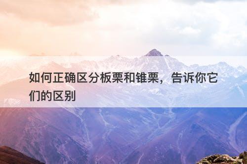 如何正确区分板栗和锥栗，告诉你它们的区别