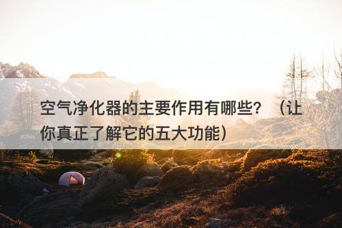 空气净化器的主要作用有哪些？（让你真正了解它的五大功能）