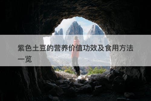紫色土豆的营养价值功效及食用方法一览