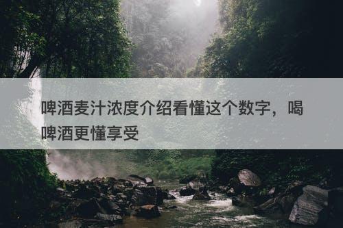 啤酒麦汁浓度介绍看懂这个数字，喝啤酒更懂享受