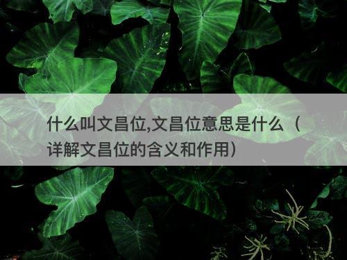什么叫文昌位,文昌位意思是什么（详解文昌位的含义和作用）
