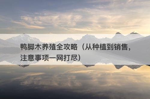鸭脚木养殖全攻略（从种植到销售，注意事项一网打尽）