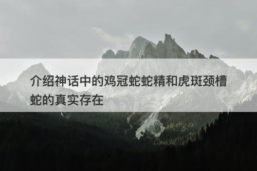 介绍神话中的鸡冠蛇蛇精和虎斑颈槽蛇的真实存在