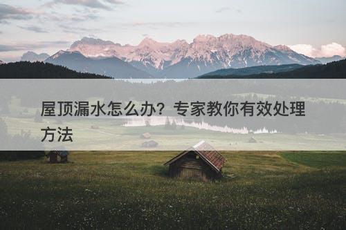 屋顶漏水怎么办？专家教你有效处理方法-图1