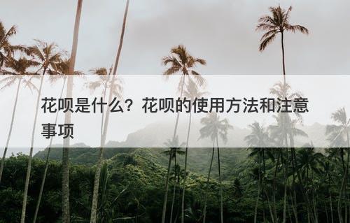 花呗是什么？花呗的使用方法和注意事项