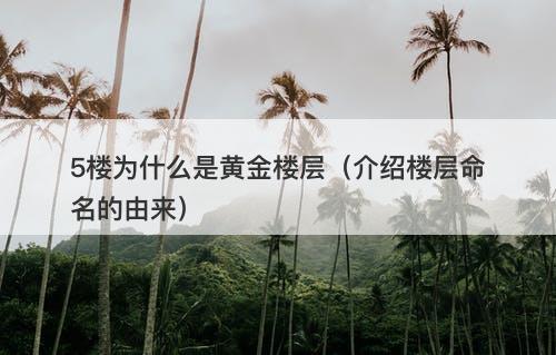 5楼为什么是黄金楼层（介绍楼层命名的由来）
