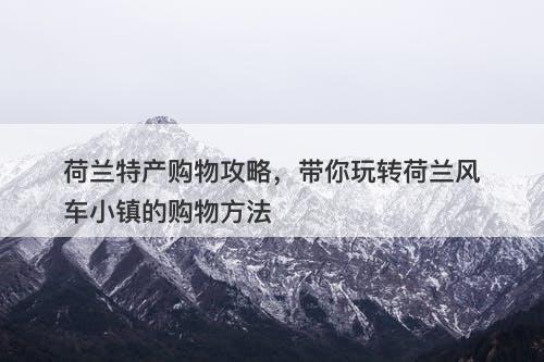 荷兰特产购物攻略，带你玩转荷兰风车小镇的购物方法