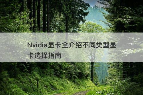 Nvidia显卡全介绍不同类型显卡选择指南