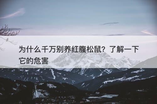 为什么千万别养红腹松鼠？了解一下它的危害