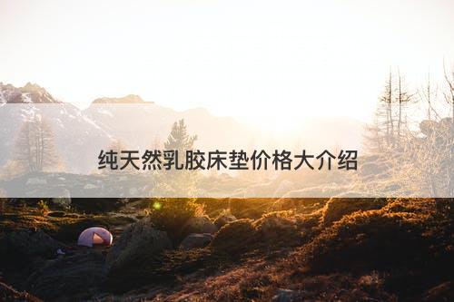 纯天然乳胶床垫价格大介绍
