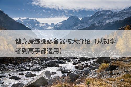 健身房练腿必备器械大介绍（从初学者到高手都适用）