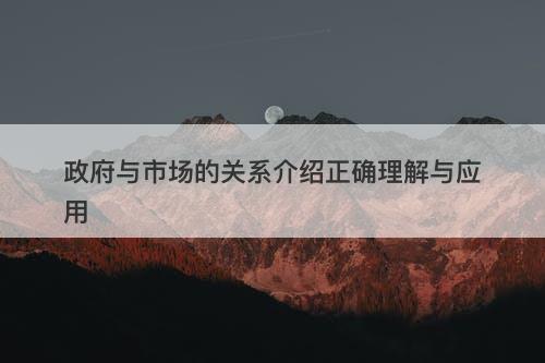 政府与市场的关系介绍正确理解与应用