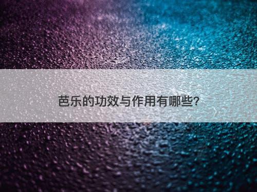 芭乐的功效与作用有哪些？