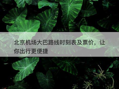 北京机场大巴路线时刻表及票价，让你出行更便捷