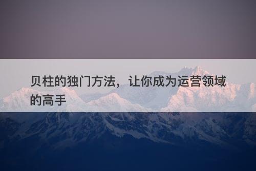 贝柱的独门方法，让你成为运营领域的高手