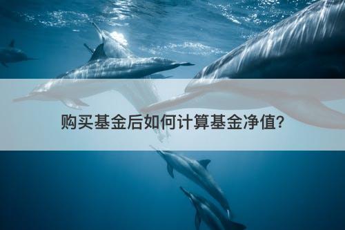 购买基金后如何计算基金净值？