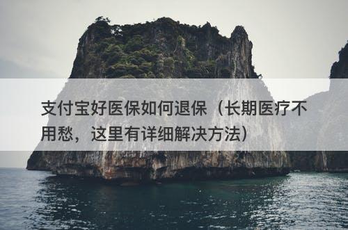 支付宝好医保如何退保（长期医疗不用愁，这里有详细解决方法）