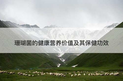 珊瑚菌的健康营养价值及其保健功效
