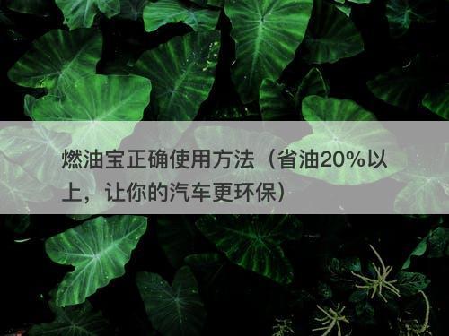 燃油宝正确使用方法（省油20%以上，让你的汽车更环保）