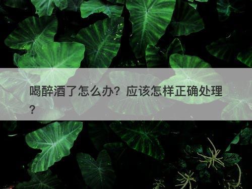 喝醉酒了怎么办？应该怎样正确处理？
