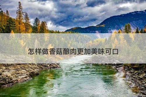怎样做香菇酿肉更加美味可口