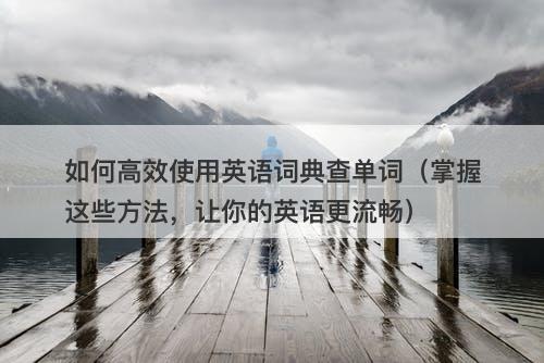 如何高效使用英语词典查单词（掌握这些方法，让你的英语更流畅）