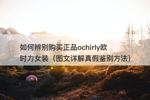 如何辨别购买正品ochirly欧时力女装（图文详解真假鉴别方法）