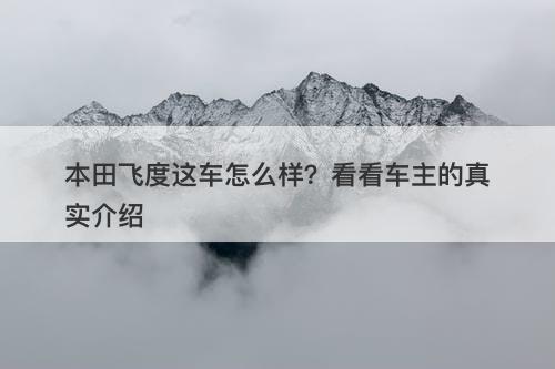本田飞度这车怎么样？看看车主的真实介绍