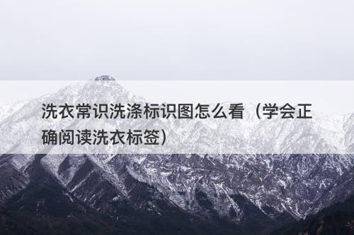 洗衣常识洗涤标识图怎么看（学会正确阅读洗衣标签）