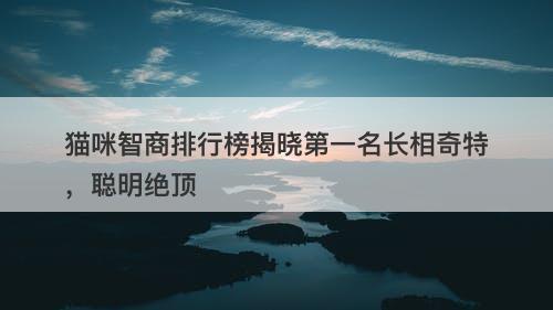 猫咪智商排行榜揭晓第一名长相奇特，聪明绝顶