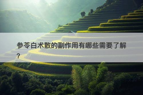 参苓白术散的副作用有哪些需要了解？