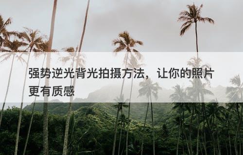 强势逆光背光拍摄方法，让你的照片更有质感