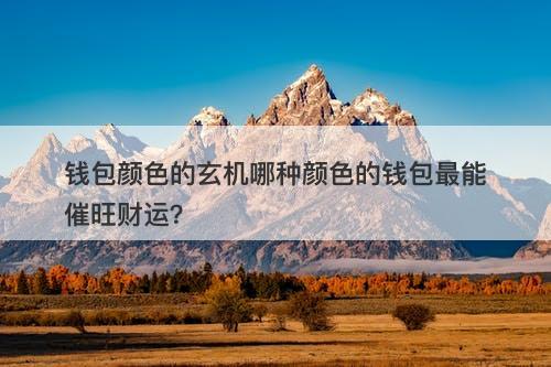 钱包颜色的玄机哪种颜色的钱包最能催旺财运？