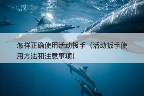 怎样正确使用活动扳手（活动扳手使用方法和注意事项）