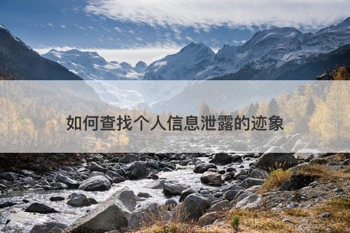如何查找个人信息泄露的迹象