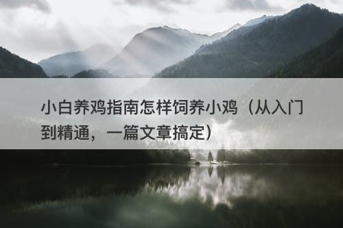 小白养鸡指南怎样饲养小鸡（从入门到精通，一篇文章搞定）