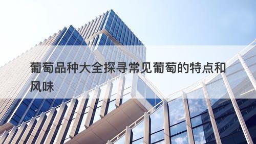 葡萄品种大全探寻常见葡萄的特点和风味