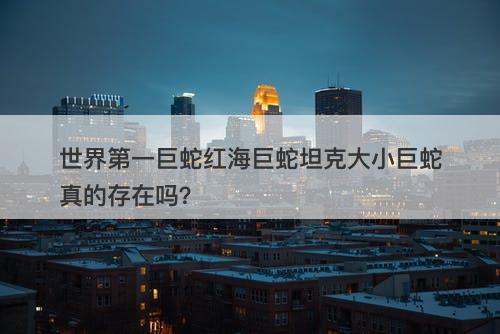 世界第一巨蛇红海巨蛇坦克大小巨蛇真的存在吗？