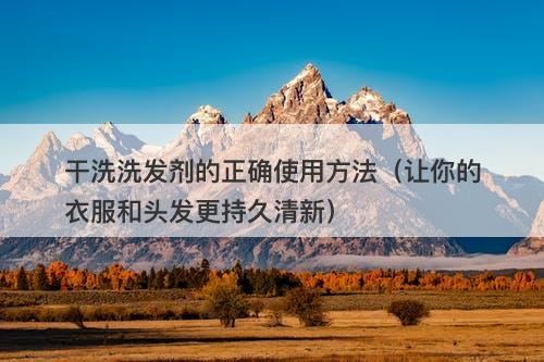干洗洗发剂的正确使用方法（让你的衣服和头发更持久清新）