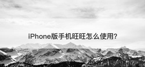 iPhone版手机旺旺怎么使用？