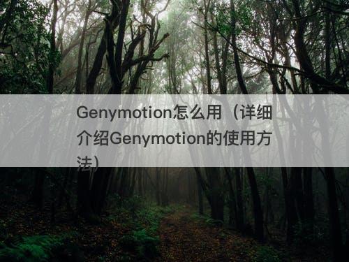 Genymotion怎么用（详细介绍Genymotion的使用方法）