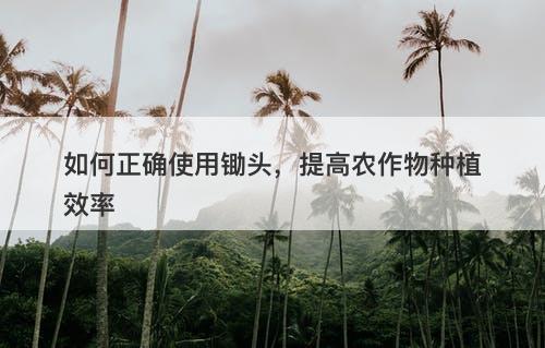 如何正确使用锄头，提高农作物种植效率
