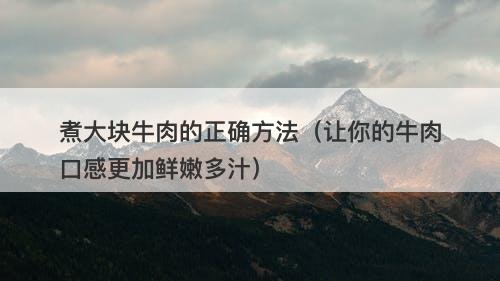 煮大块牛肉的正确方法（让你的牛肉口感更加鲜嫩多汁）