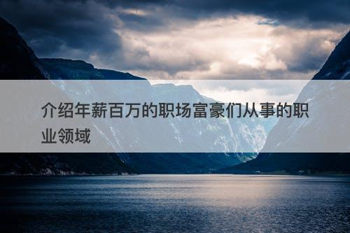 介绍年薪百万的职场富豪们从事的职业领域