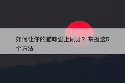 如何让你的猫咪爱上刷牙？掌握这5个方法