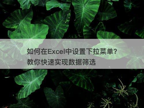 如何在Excel中设置下拉菜单？教你快速实现数据筛选