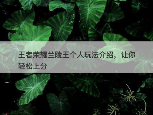 王者荣耀兰陵王个人玩法介绍，让你轻松上分