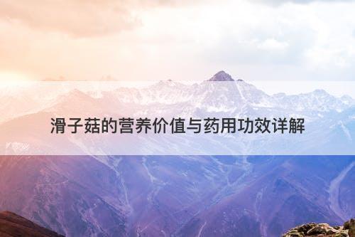 滑子菇的营养价值与药用功效详解
