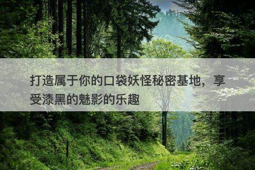 打造属于你的口袋妖怪秘密基地，享受漆黑的魅影的乐趣