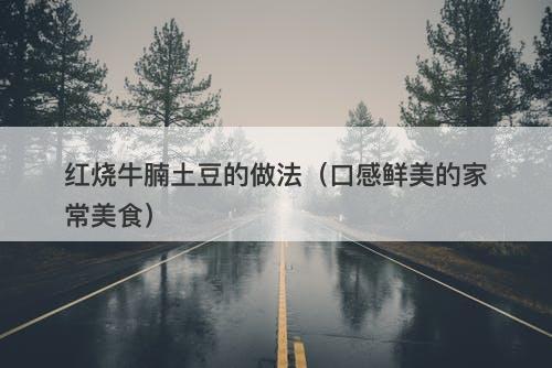 红烧牛腩土豆的做法（口感鲜美的家常美食）